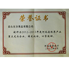 2012年省林業(yè)重點龍頭企業(yè)證書