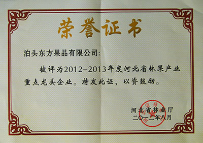 2012年省林業(yè)重點龍頭企業(yè)證書