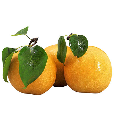 Nanshui pear Nanshui pear