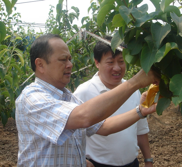 Malaysia guest Malaysia guest